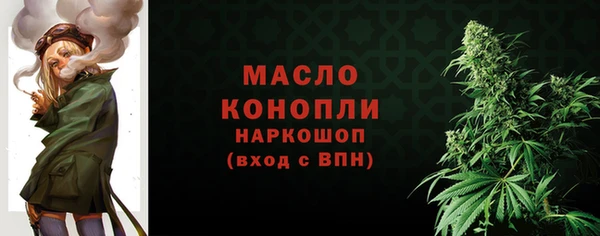 СК Богородск