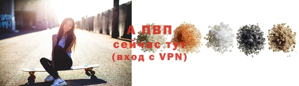 индика Белокуриха