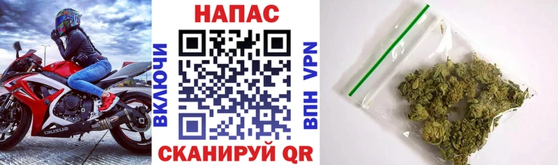 Конопля Amnesia  Волчанск 